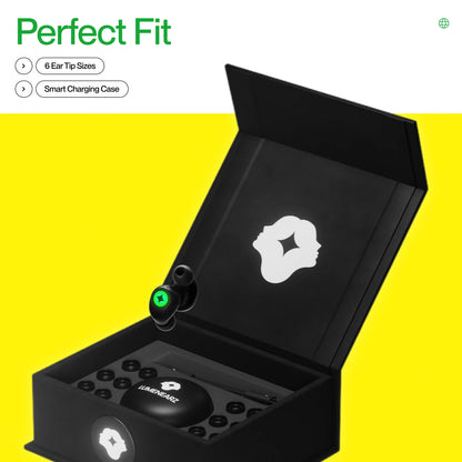 Aura HiFi Earplugs